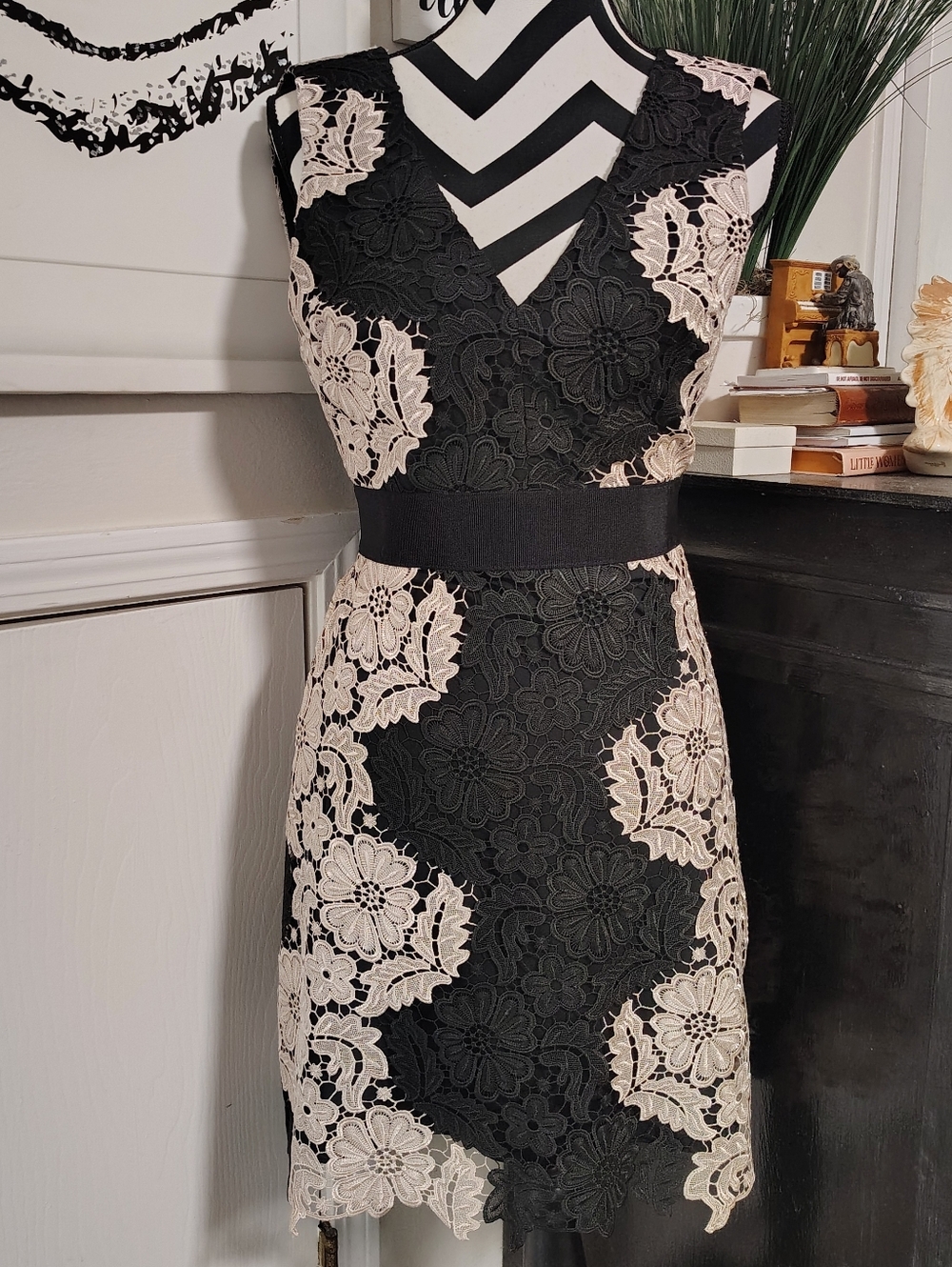 Alice + Olivia Patrice A-Line Lace Dress Black and Cream Women's 2 Floral - Picture 8 of 16